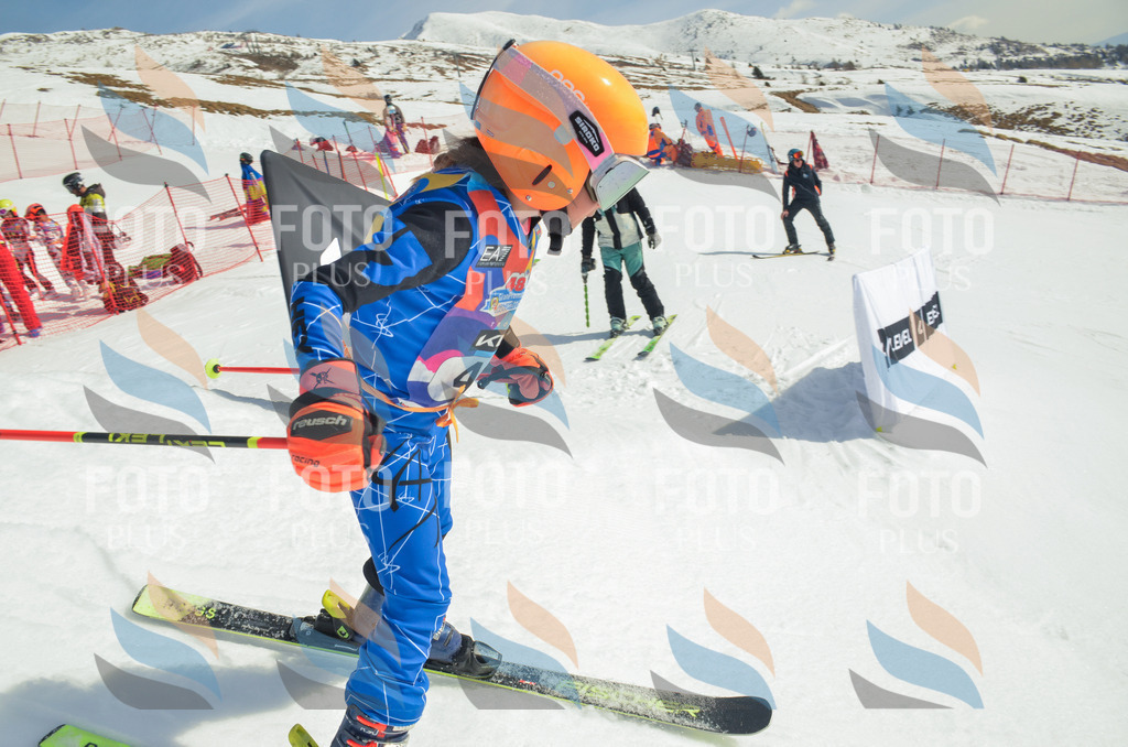 _ELE5098 | holidayphoto