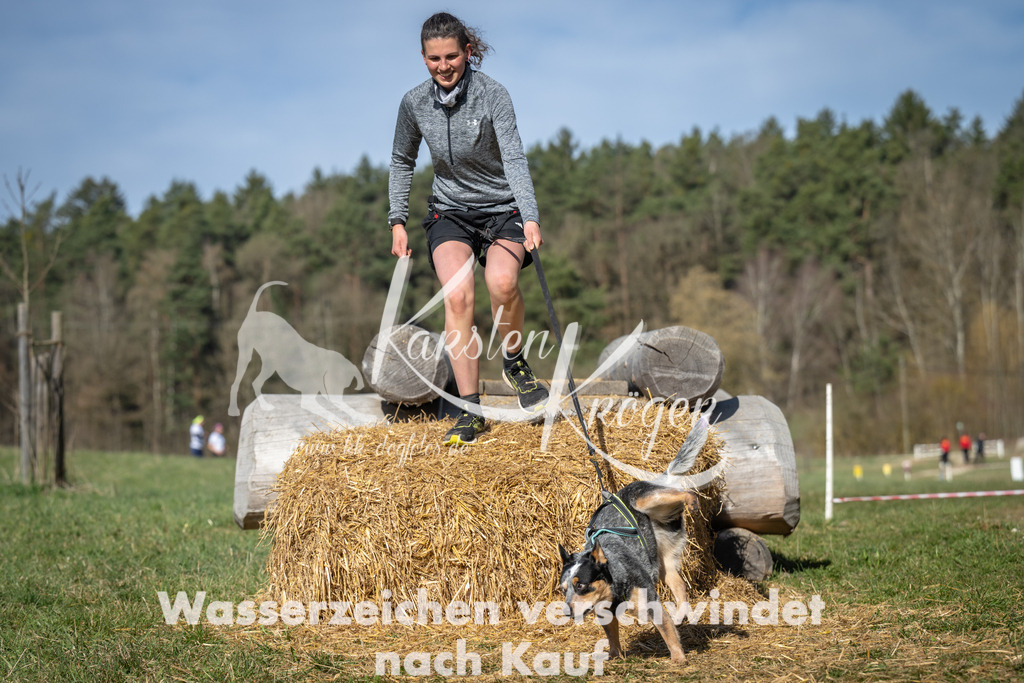 1012_ZZ99552 | kk-dogfotos