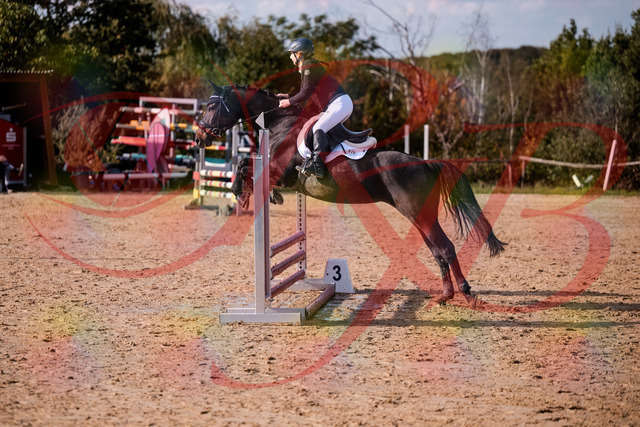 2026_10_03_Siefer-Hof_154922_Z81_68050871 | Professionelle Reitsport-, Turnier- und Eventfotografie von Robert Broda. Galerien mit ausgewählten und bearbeiteten Bildern direkt online ansehen und bestellen.