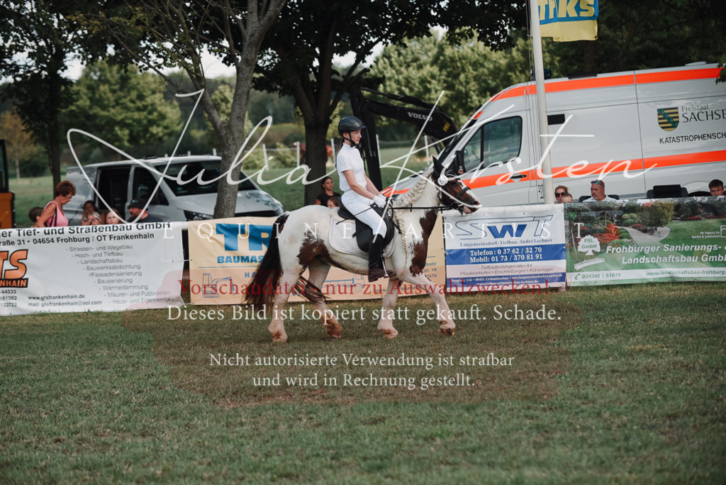 DSC_5599 | Pferde- und Turnierfotografie in Westsachsen. Pferdeportraits, Auftragszeichnungen und intuitive Kunst.