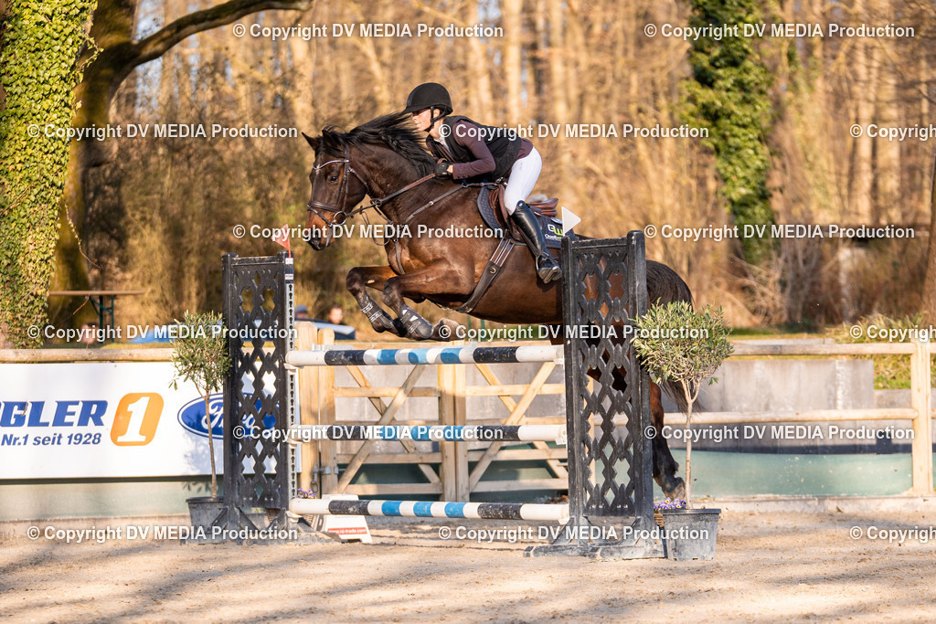 Kranichstein Tag 2-1092 | dv-media-shop - Realisiert mit Pictrs.com