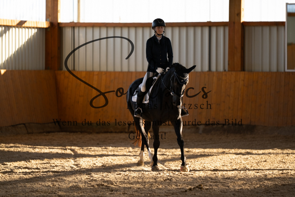A7V01615 | Turnier/Reitfotograf