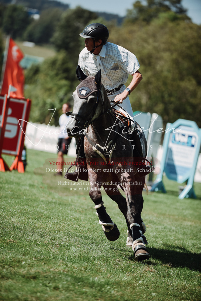 DSC_3198 | Pferde- und Turnierfotografie in Westsachsen. Pferdeportraits, Auftragszeichnungen und intuitive Kunst.