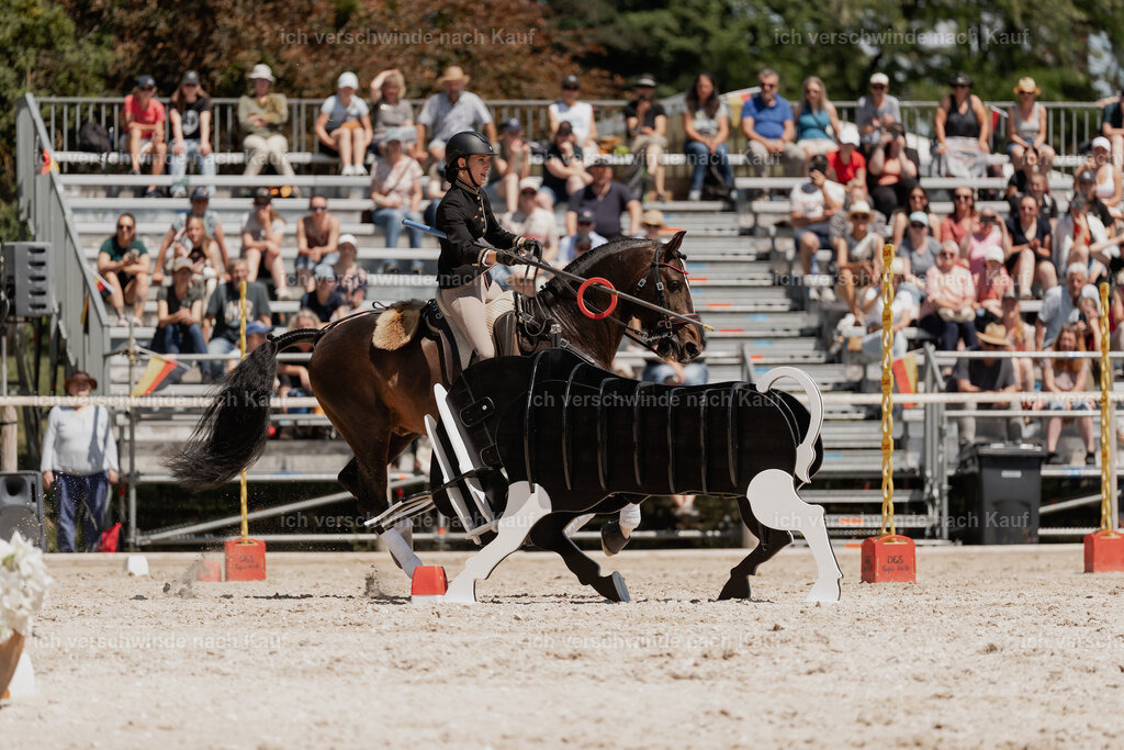 WE_SP_Stoib_330_PI2025_1990 | Pferd International München 2025