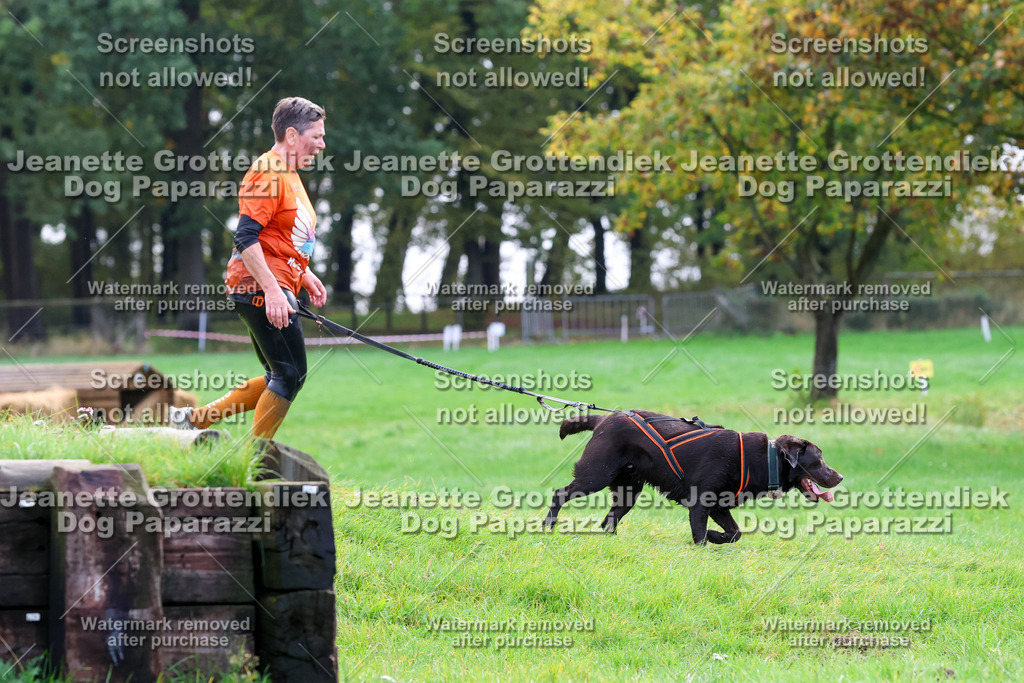 Dog Paparazzi -  SD1026-2257 | Dog Paparazzi Jeanette Grottendiek Fotografie & Videografie - Realisiert mit Pictrs.com