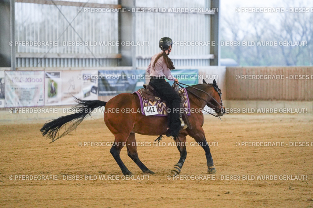 DSC09352 | Pferdegrafie