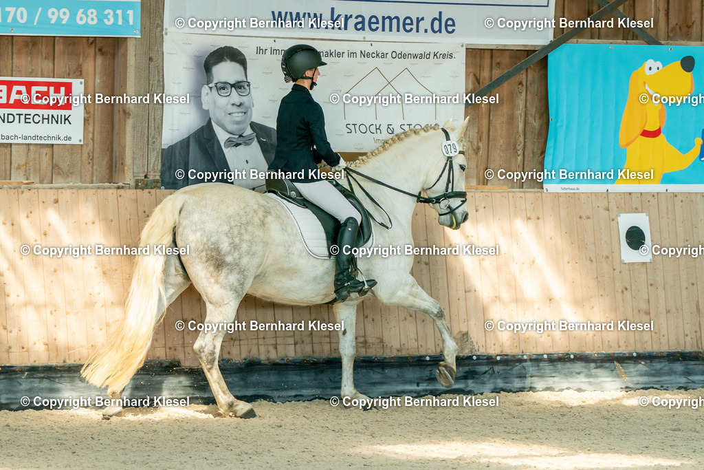 2A902018 | foto-team-bernhard - Realisiert mit Pictrs.com