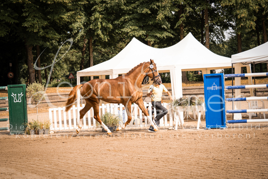 FrER00083 | Leoni Ertmer Photography - Realisiert mit Pictrs.com