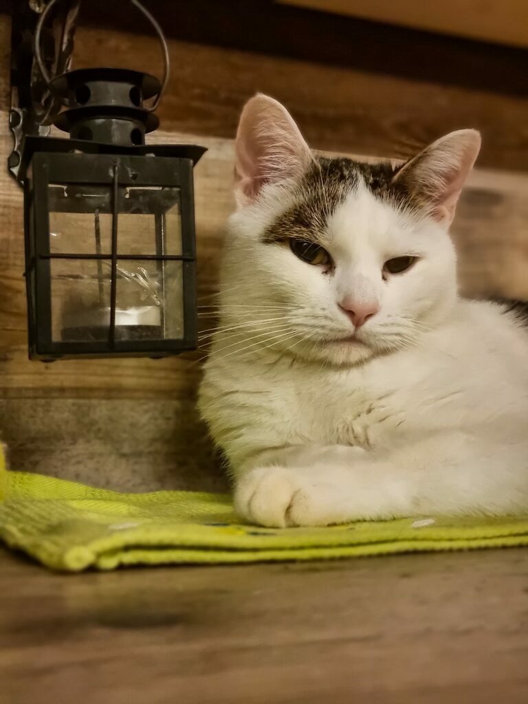 PSX_20220804_235115 | mtkfoto_ - Realisiert mit Pictrs.com