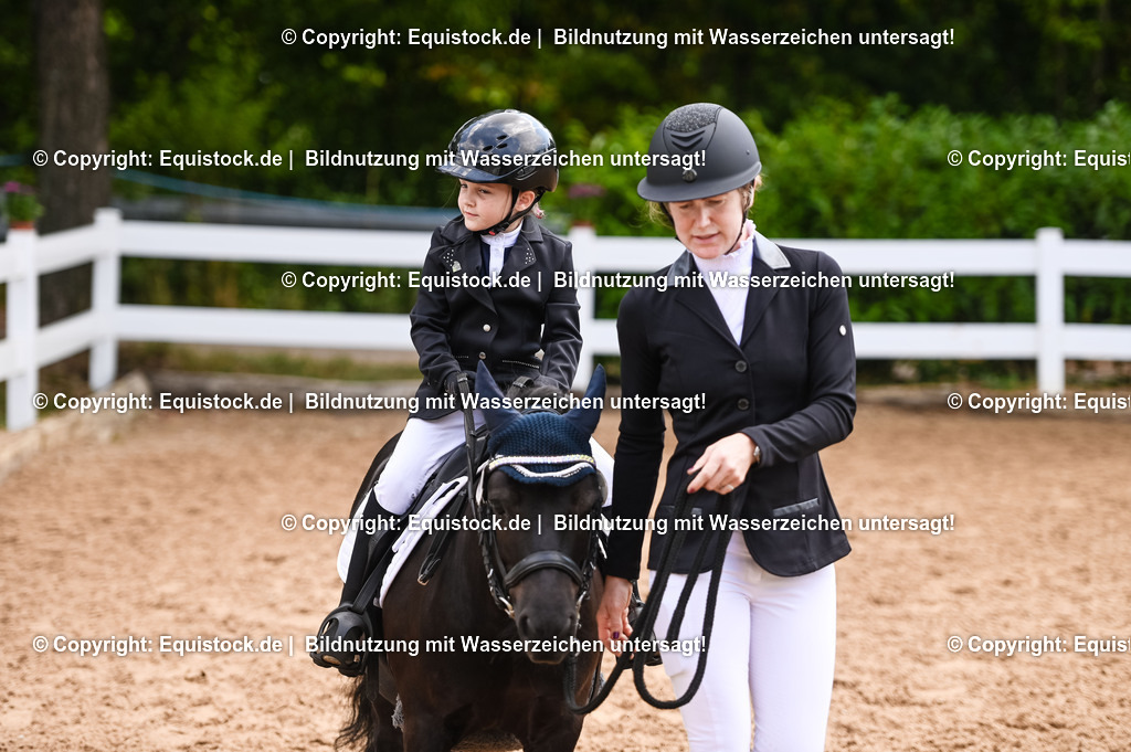 20230716_11_Führzügel-WB_0146 | equistock