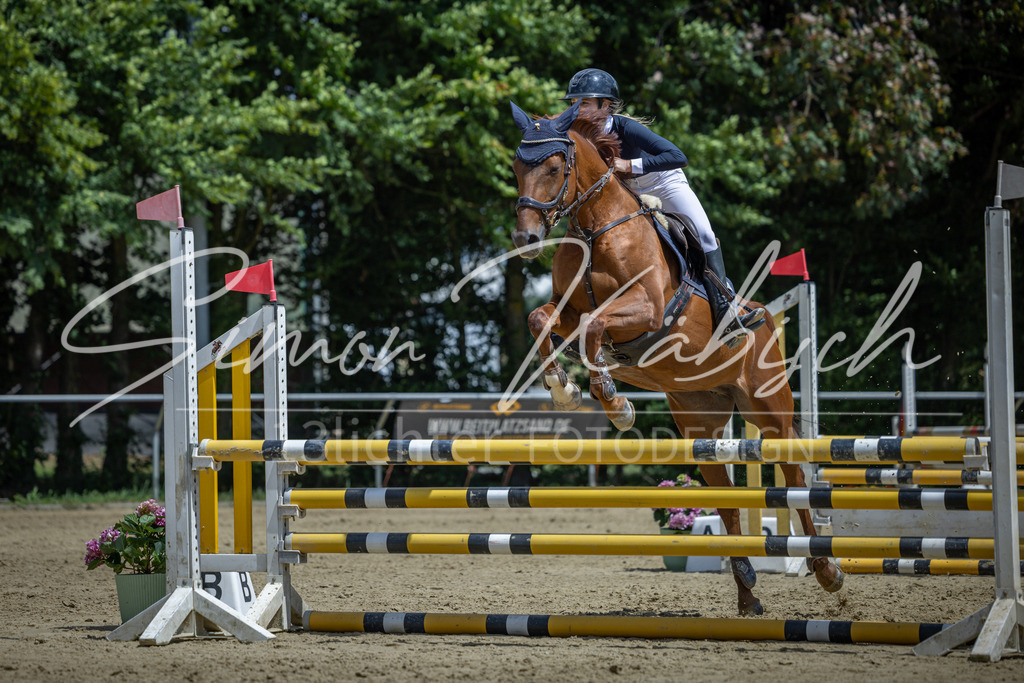 20260704-_3LI9677 | Tierfotografie Pferde, Hunde, Katzen, Haustiere.
Turnierfotografie Reitturniere, Reiten, Springreiten, Dressur in Hanau, dem Main-Kinzig-Kreis und dem Rhein-Main- Gebiet um Frankfurt