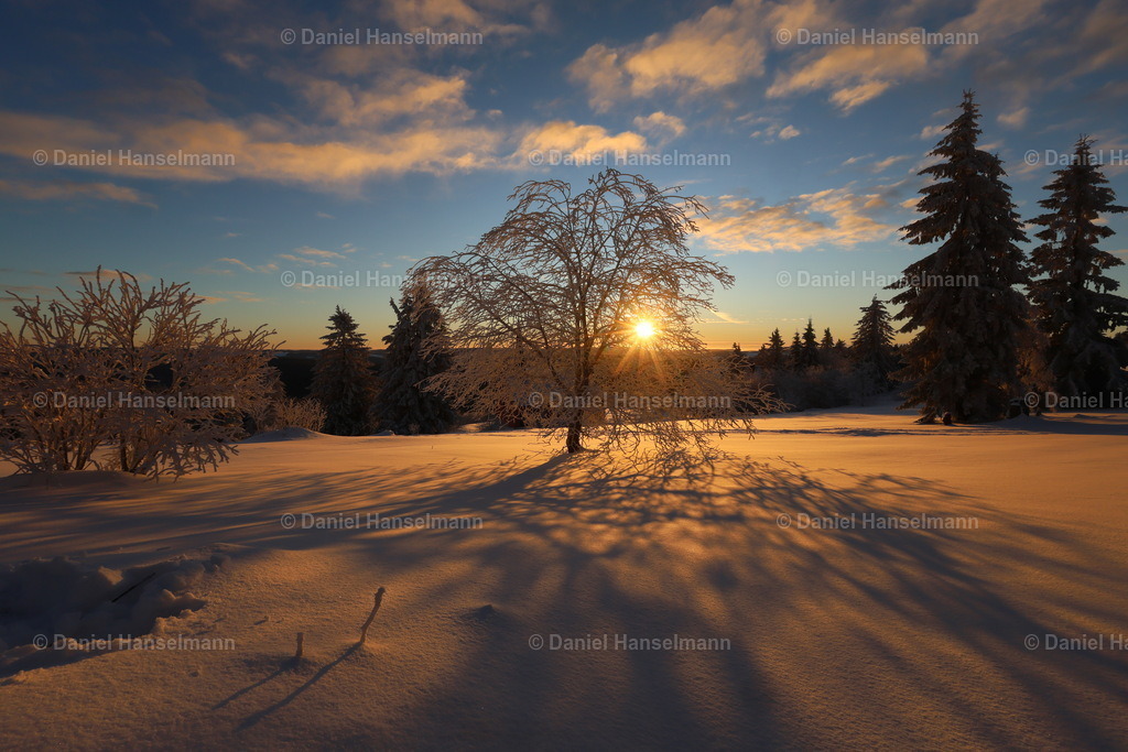 162A8168_Original | Hier finden Sie Poster, Leinwandfotos sowie viele weitere Fotoprodukte mit Motiven aus dem Schwarzwald, aus Freiburg und dem Kaiserstuhl zum Download und zum Bestellen.  - Realisiert mit Pictrs.com