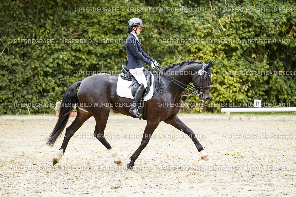 DSC07052 | Pferdegrafie