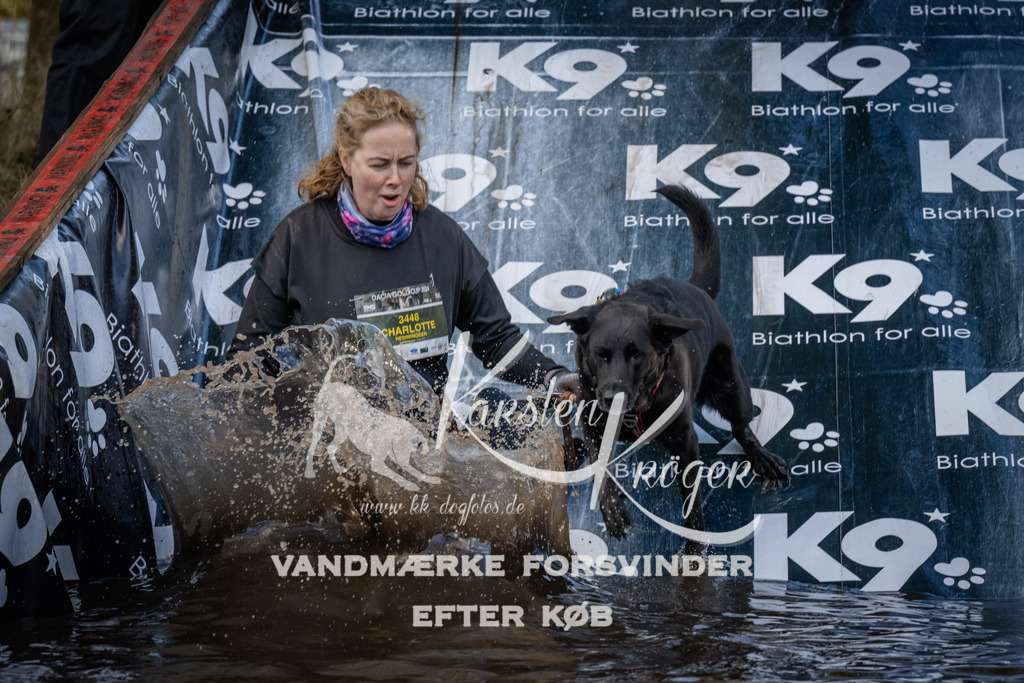 1552_ZZ90895 | kk-dogfotos