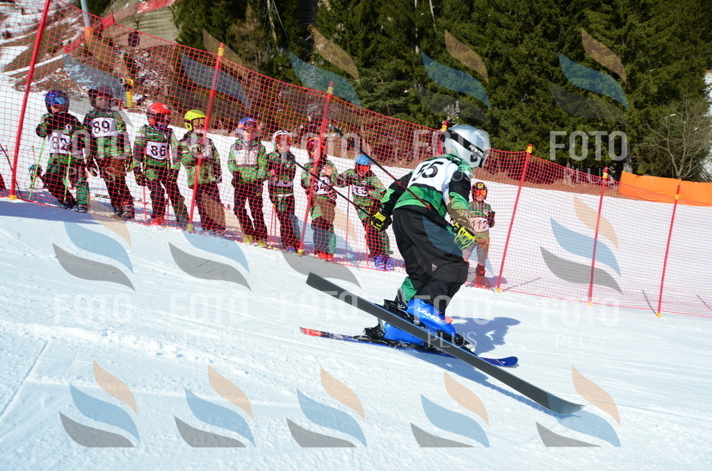 C5285 | holidayphoto