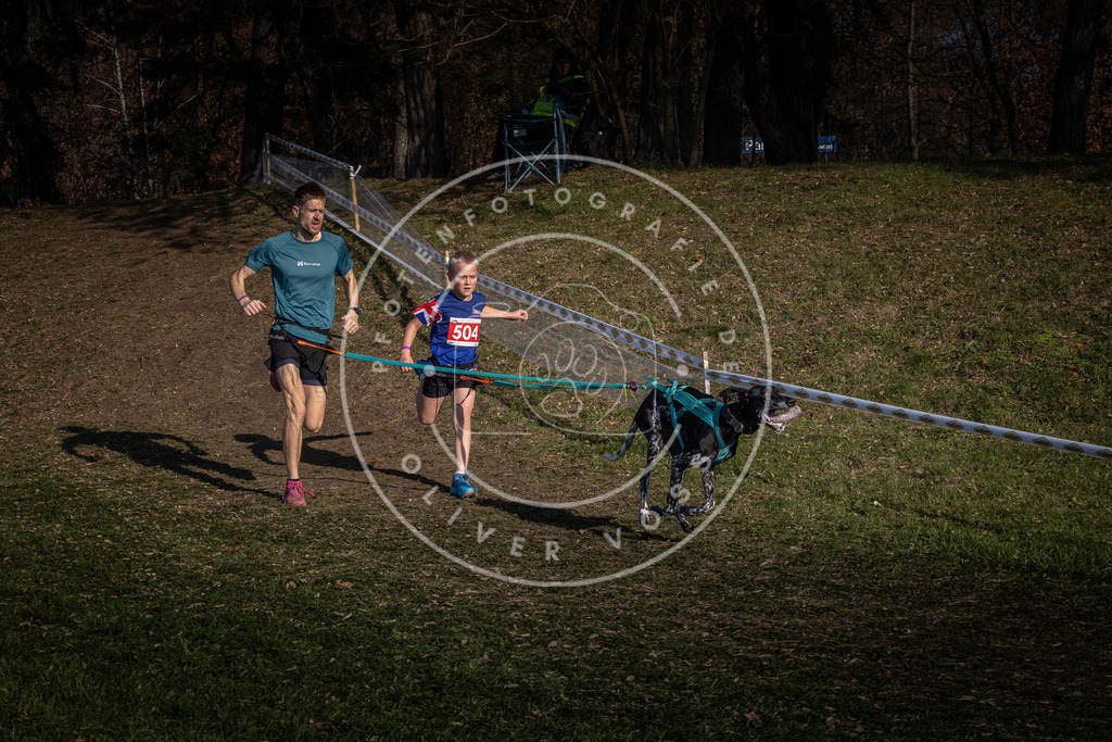 CaniXpix_0L8A8289 | Hundefotografie, Tierfotograf, Pfotenfotografie, Fotoshooting Hund, Hunde Portrait, Hundesport, Hundeportraits, Heideshooting, Hunde, Sportfotograf, Hundefotograf, Turnierhundsport, THS,  - Realisiert mit Pictrs.com