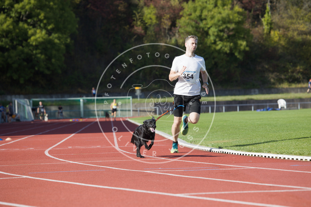 0L8A9965 | Hundefotografie, Tierfotograf, Pfotenfotografie, Fotoshooting Hund, Hunde Portrait, Hundesport, Hundeportraits, Heideshooting, Hunde, Sportfotograf, Hundefotograf, Turnierhundsport, THS,  - Realisiert mit Pictrs.com