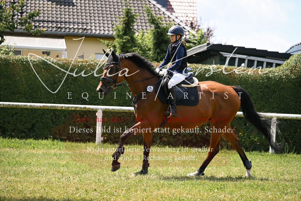 DSC_9308 | Pferde- und Turnierfotografie in Westsachsen. Pferdeportraits, Auftragszeichnungen und intuitive Kunst.
