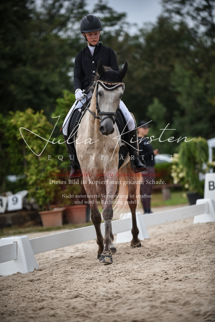 DSC_8227 | Pferde- und Turnierfotografie in Westsachsen. Pferdeportraits, Auftragszeichnungen und intuitive Kunst.