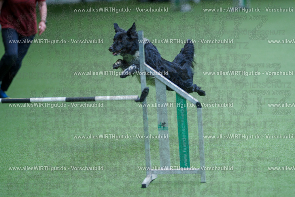 @allesWIRTHgut_Tierfotografie - www.allesWIRTHgut.de - 2604261239-7R501335 | Professionelle Tierfotografie in Mönchengladbach von Daniel Wirth (allesWIRTHgut). Liebevolle & natürliche Bilder von Hunden & Katzen für unvergessliche Erinnerungen.
