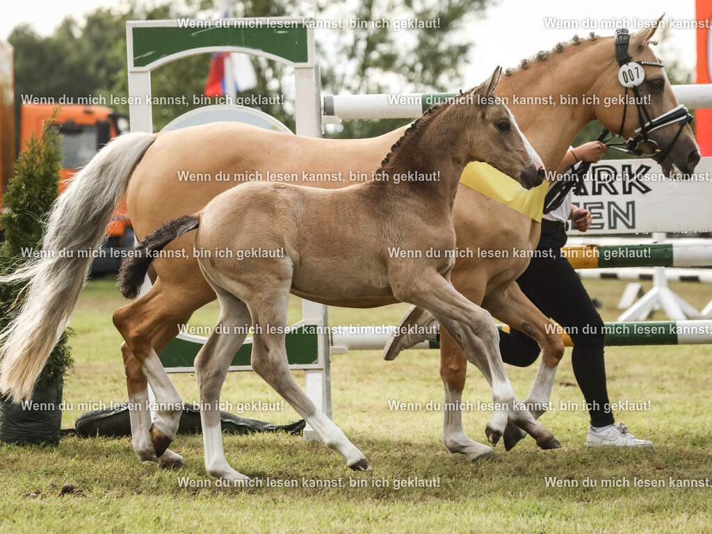 598A2657-2 | photographylinaismer - Realisiert mit Pictrs.com