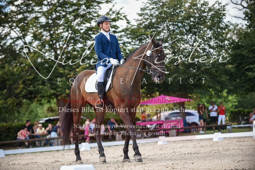 DSC_9184 | Pferde- und Turnierfotografie in Westsachsen. Pferdeportraits, Auftragszeichnungen und intuitive Kunst.