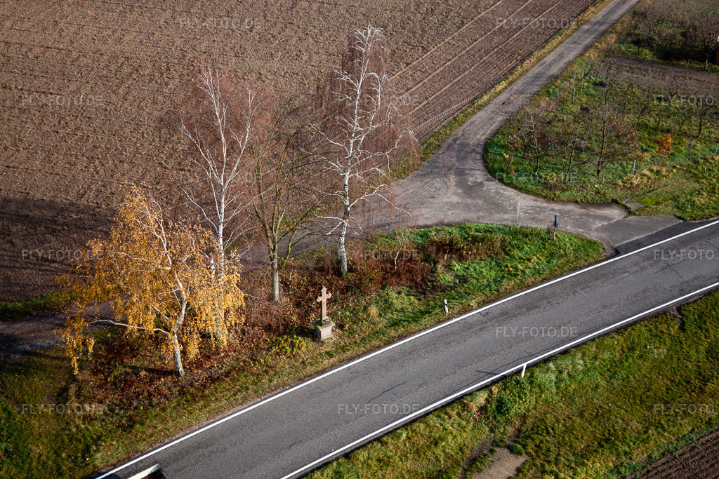 Luftbild: Baumreihe und Flurkreuz an einer Landstraße an einem Feldrand in Hatzenbühl im Bundesland Rheinland-Pfalz in Deutschland. Foto: IMG_35464.jpg vom 20.11.2010 durch Werner Riehm/FLY-FOTO.de