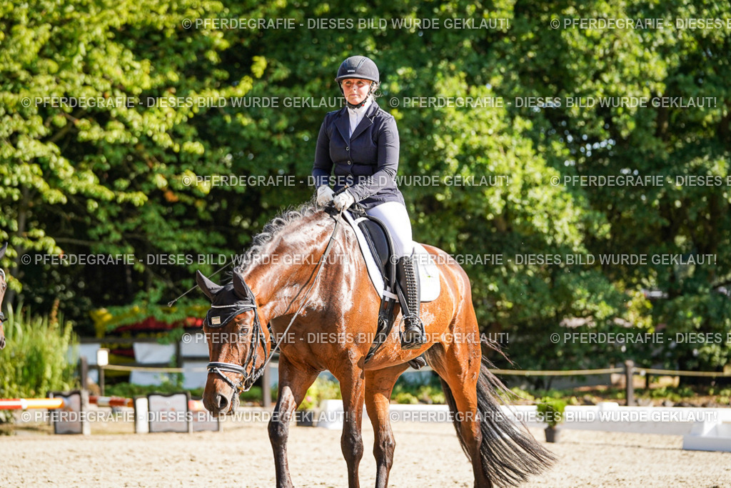 DSC09764 | Pferdegrafie