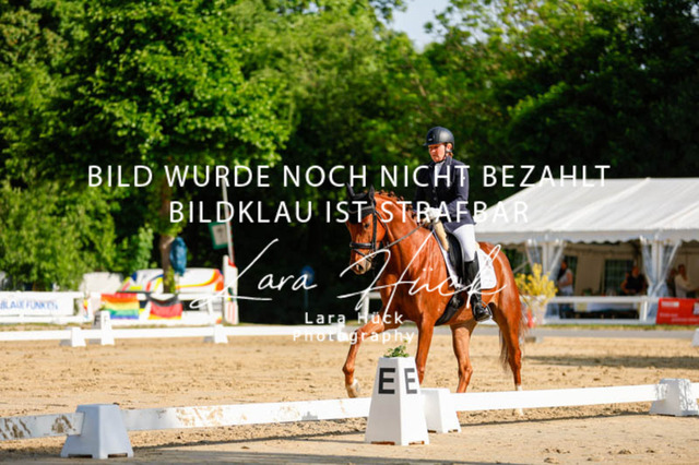 _62_2326 | larahueckfotografie