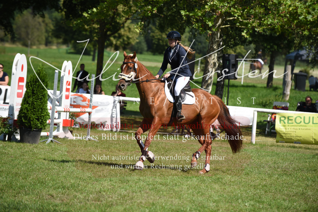 DSC_9349 | Pferde- und Turnierfotografie in Westsachsen. Pferdeportraits, Auftragszeichnungen und intuitive Kunst.