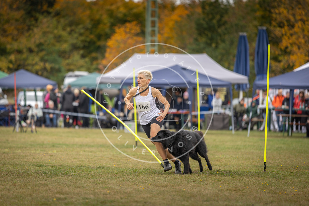 Pfotenfotografie_DV3A6557 | Hundefotografie, Tierfotograf, Pfotenfotografie, Fotoshooting Hund, Hunde Portrait, Hundesport, Hundeportraits, Heideshooting, Hunde, Sportfotograf, Hundefotograf, Turnierhundsport, THS,  - Realisiert mit Pictrs.com