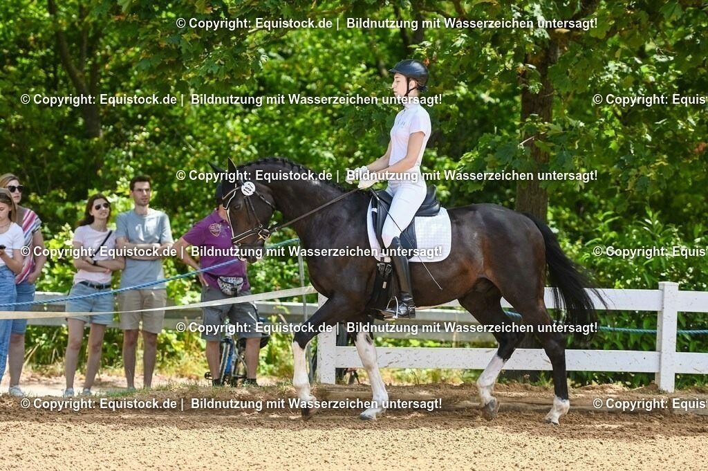 20230716_03_Dressurprfg. Kl.L - Tr._0008 | equistock