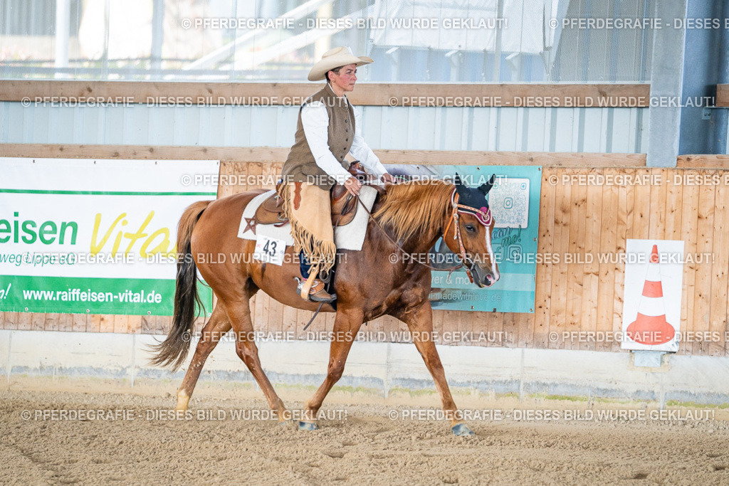 DSC01623 | Pferdegrafie