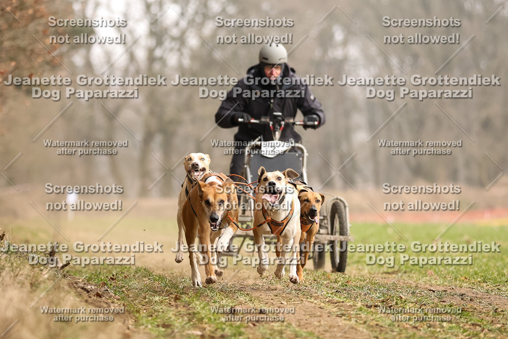 Dog Paparazzi - Plate 2026-93 | Dog Paparazzi Jeanette Grottendiek Fotografie & Videografie - Realisiert mit Pictrs.com