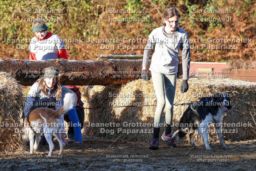 Dog Paparazzi - Strongdog 10-25-787 | Dog Paparazzi Jeanette Grottendiek Fotografie & Videografie - Realisiert mit Pictrs.com