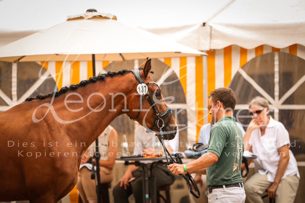 05.So00005 | Leoni Ertmer Photography - Realisiert mit Pictrs.com