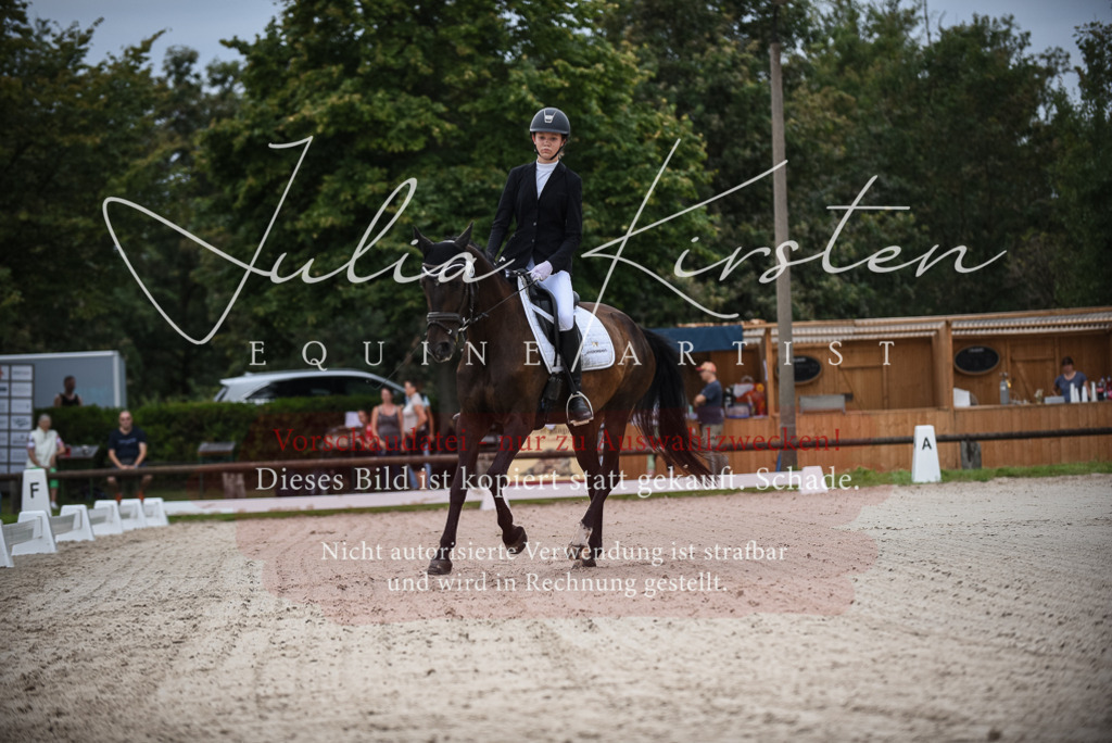 DSC_7940 | Pferde- und Turnierfotografie in Westsachsen. Pferdeportraits, Auftragszeichnungen und intuitive Kunst.
