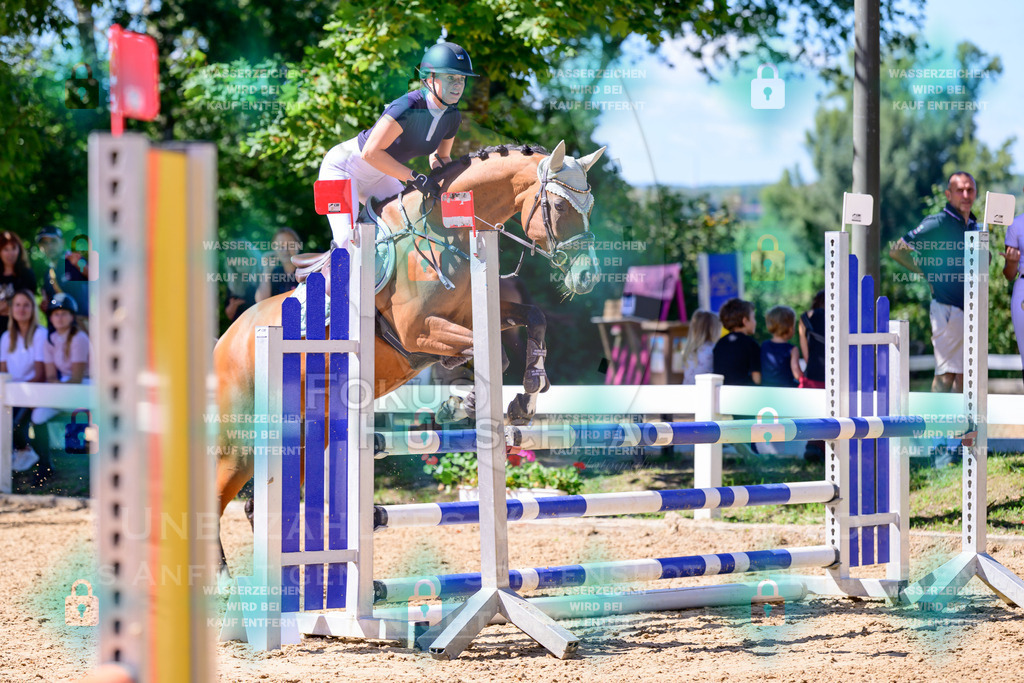 29082026-Giesenbach-Prfg10-0486 | Fokus Hufschlag Fotografie - Realisiert mit Pictrs.com