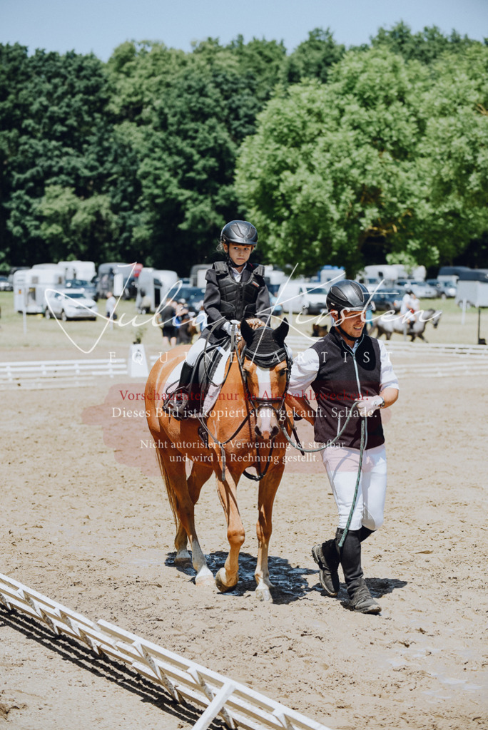 DSC_2394 | Pferde- und Turnierfotografie in Westsachsen. Pferdeportraits, Auftragszeichnungen und intuitive Kunst.