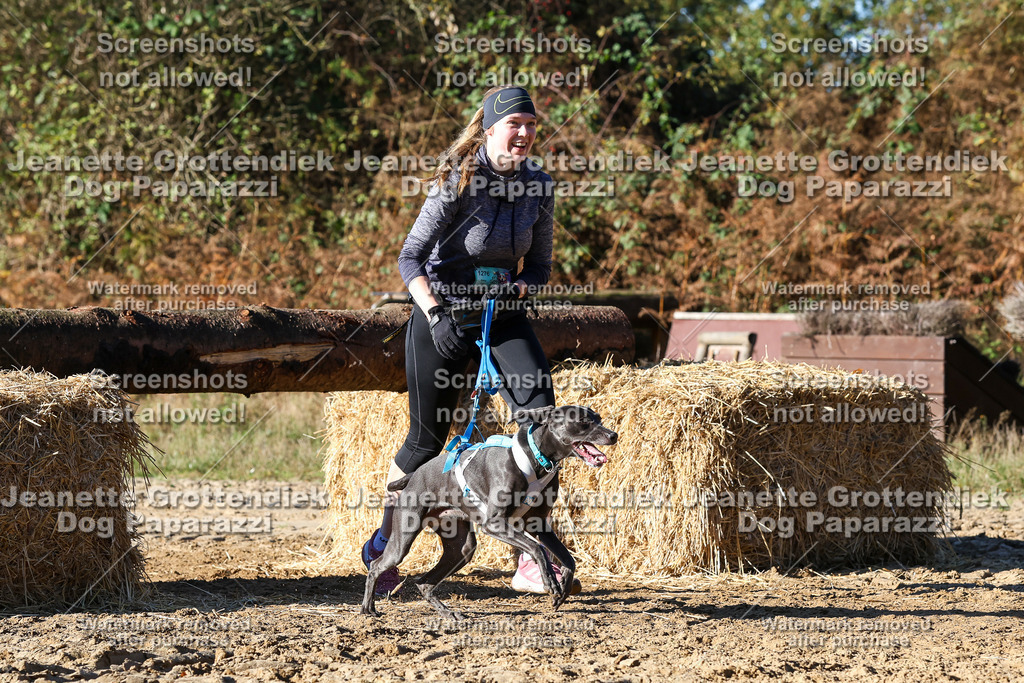 Dog Paparazzi - Strongdog 10-25-2012 | Dog Paparazzi Jeanette Grottendiek Fotografie & Videografie - Realisiert mit Pictrs.com