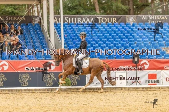 28-8-26 5j DRE-1407 | mandyhollmannphotographie