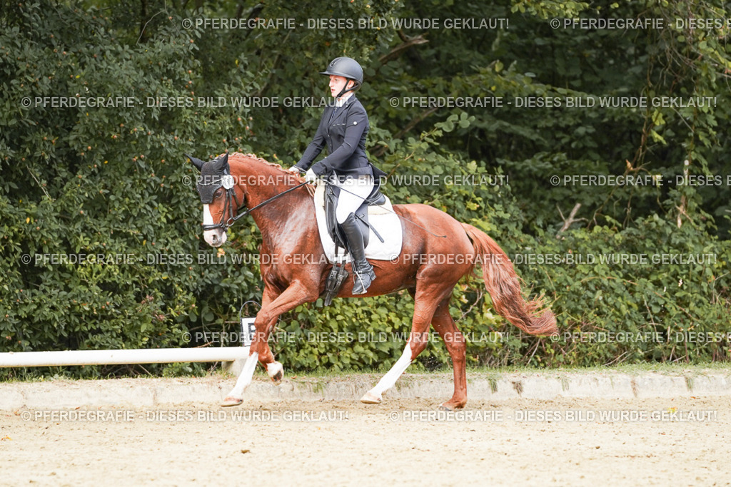 DSC03813 | Pferdegrafie