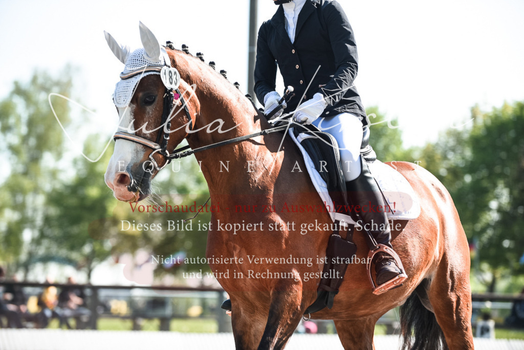DSC_8720 | Pferde- und Turnierfotografie in Westsachsen. Pferdeportraits, Auftragszeichnungen und intuitive Kunst.