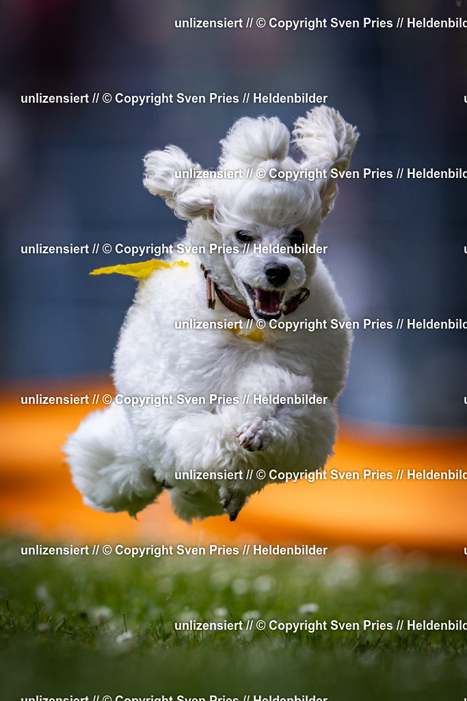 Sven Pries | 2025-05-29 - Pudelrennen KA-Durlach - Realisiert mit Pictrs.com