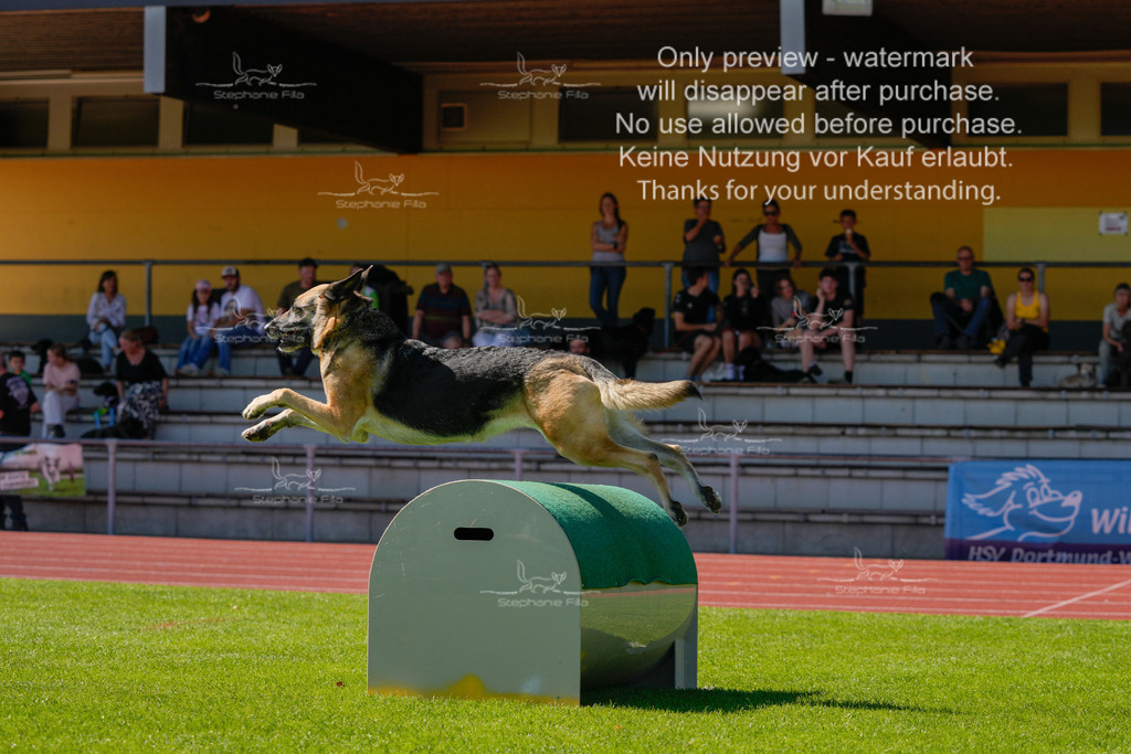 Sonntag_VK Hindernis (281 von 671) | stephaniefillaphotographie - Realisiert mit Pictrs.com