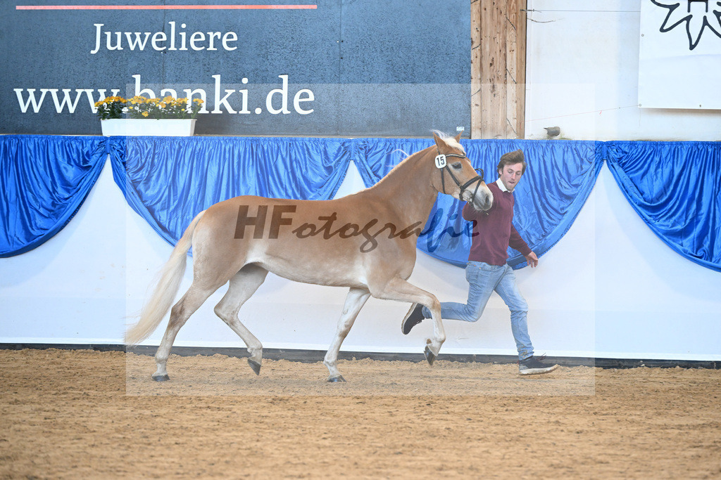 Bl. Band Kat-Nr. 15 Hanna v. Sterlington_Karrer_48241226 | hf-fotografie - Realisiert mit Pictrs.com