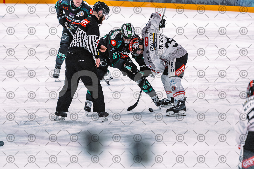 Alligators_vs_Memmingen_05_12_2025-080 | Höchstadt Alligators Fotogalerie: Eishockey-Action aus Franken. Professionelle Spielfotos, Portraits & Stadionbilder zum Download. Jetzt entdecken! - Realisiert mit Pictrs.com