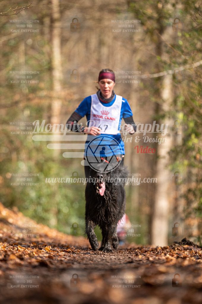 SPA_2023_DIM_CCL-172 | PayLife