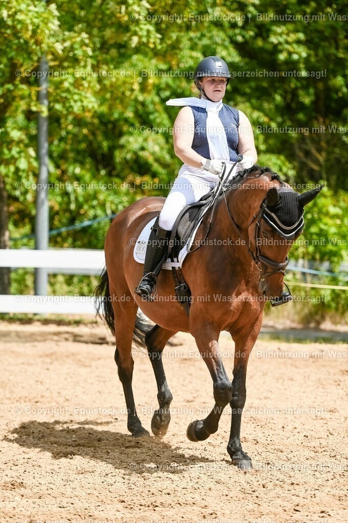 20230715_05_Dressurprüfung Kl.A++_0410 | equistock