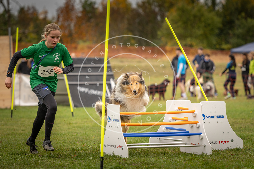 Pfotenfotografie_DV3A6268 | Hundefotografie, Tierfotograf, Pfotenfotografie, Fotoshooting Hund, Hunde Portrait, Hundesport, Hundeportraits, Heideshooting, Hunde, Sportfotograf, Hundefotograf, Turnierhundsport, THS,  - Realisiert mit Pictrs.com